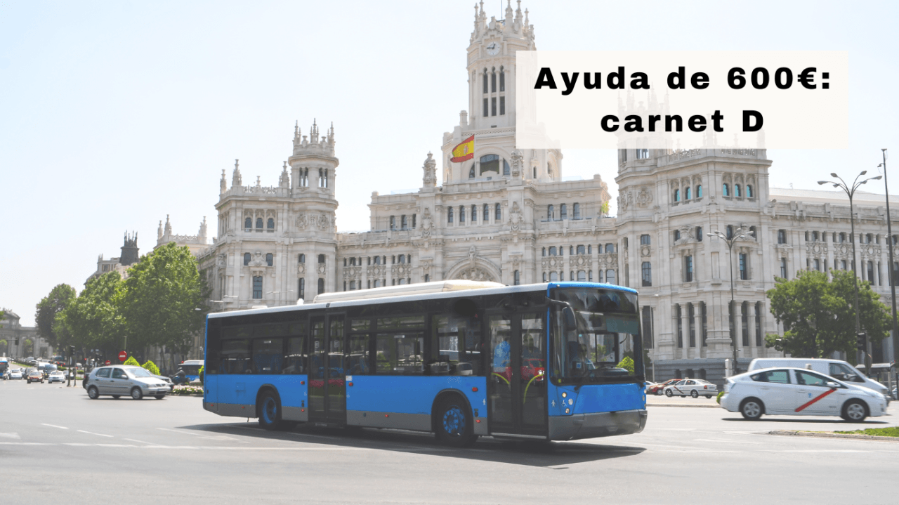 Madrid Ayuda Carnet D