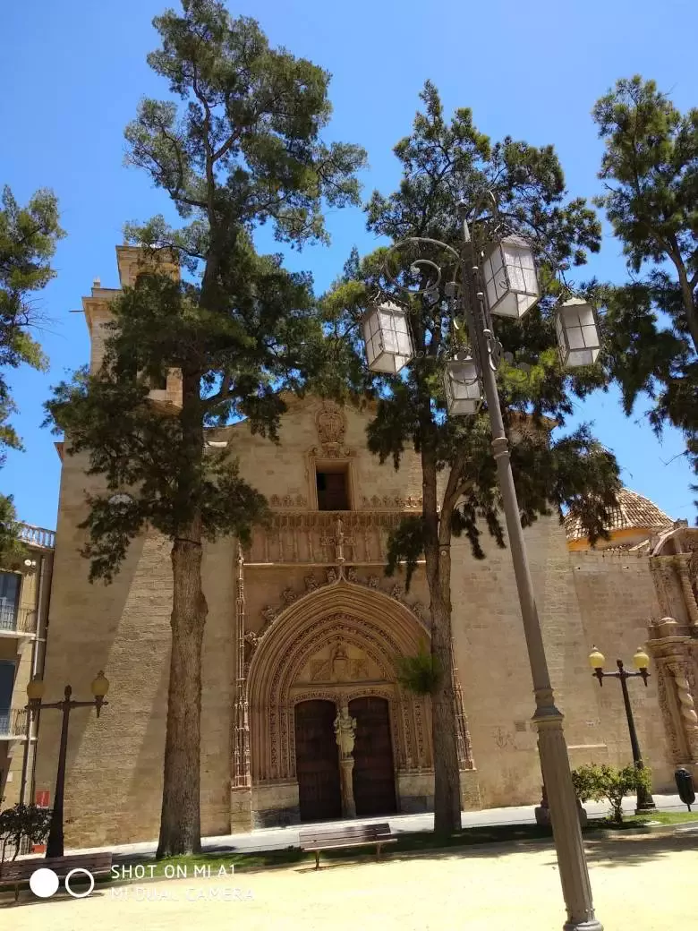 Autoescuela Orihuela