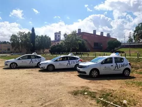 Autoescola Alicia - Carrer de Lluís Millet